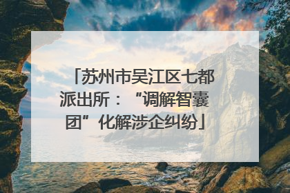苏州市吴江区七都派出所：“调解智囊团”化解涉企纠纷