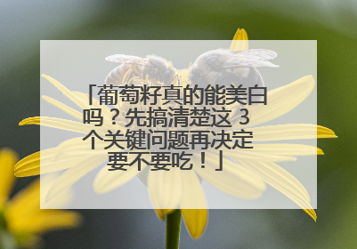 葡萄籽真的能美白吗？先搞清楚这 3 个关键问题再决定要不要吃！