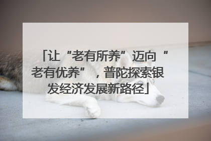 让“老有所养”迈向“老有优养”，普陀探索银发经济发展新路径
