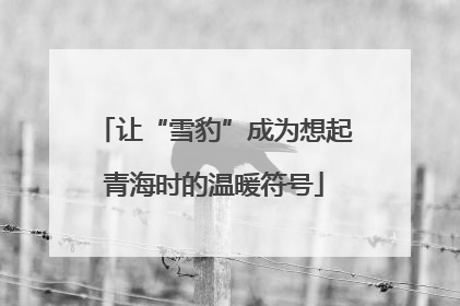 让“雪豹”成为想起青海时的温暖符号