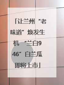 让兰州“老味道”焕发生机 “兰白946”白兰瓜即将上市