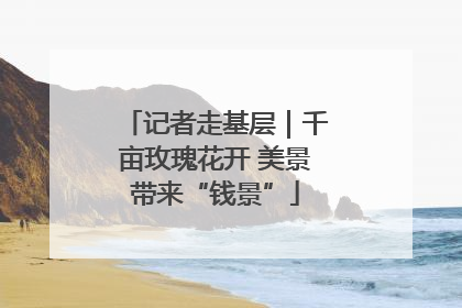 记者走基层｜千亩玫瑰花开 美景带来“钱景”