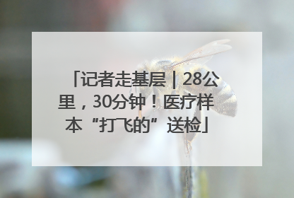 记者走基层｜28公里，30分钟！医疗样本“打飞的”送检