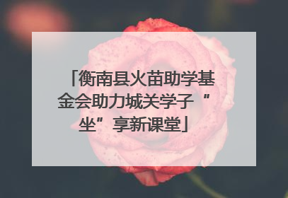 衡南县火苗助学基金会助力城关学子“坐”享新课堂