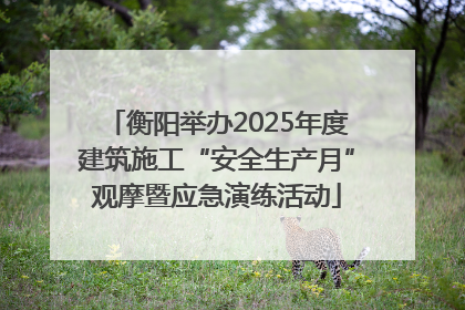 衡阳举办2025年度建筑施工“安全生产月”观摩暨应急演练活动