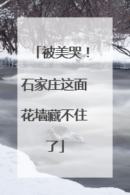 被美哭！石家庄这面花墙藏不住了