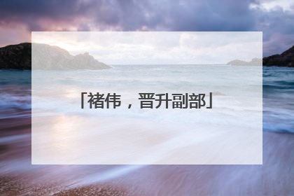 褚伟，晋升副部