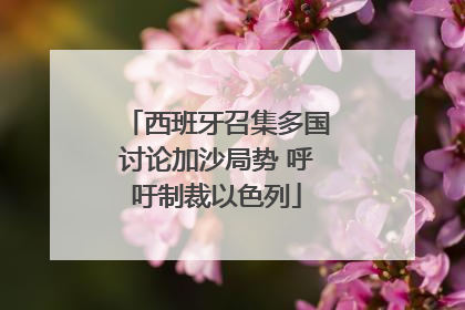 西班牙召集多国讨论加沙局势 呼吁制裁以色列