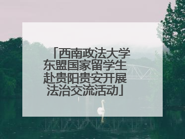 西南政法大学东盟国家留学生赴贵阳贵安开展法治交流活动