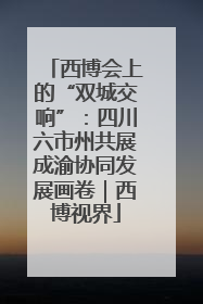 西博会上的“双城交响”：四川六市州共展成渝协同发展画卷｜西博视界