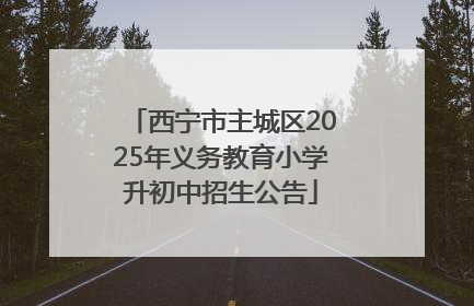 西宁市主城区2025年义务教育小学升初中招生公告