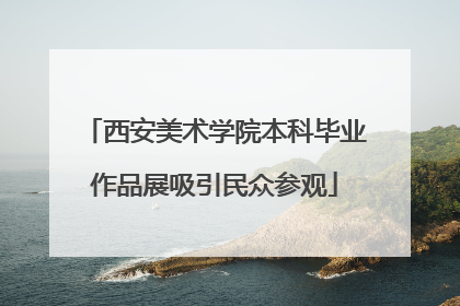西安美术学院本科毕业作品展吸引民众参观