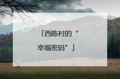 西陈村的“幸福密码”
