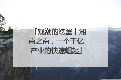 观潮的螃蟹丨湘南之南，一个千亿产业的快速崛起