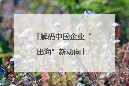 解码中国企业“出海”新动向