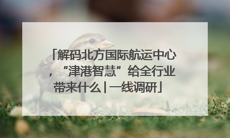 解码北方国际航运中心，“津港智慧”给全行业带来什么│一线调研