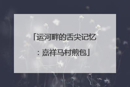 运河畔的舌尖记忆：嘉祥马村煎包