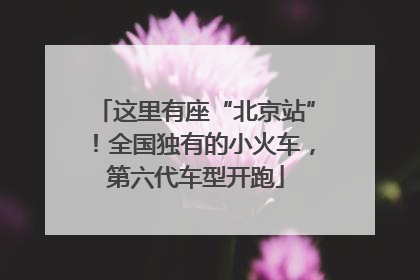 这里有座“北京站”！全国独有的小火车，第六代车型开跑