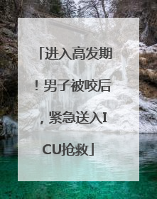 进入高发期！男子被咬后，紧急送入ICU抢救