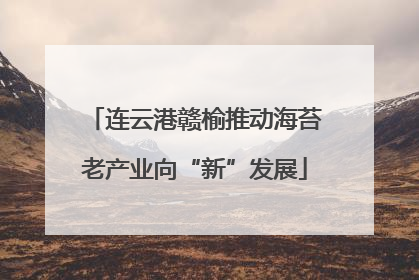 连云港赣榆推动海苔老产业向“新”发展