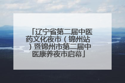 辽宁省第二届中医药文化夜市（锦州站）暨锦州市第二届中医康养夜市启幕