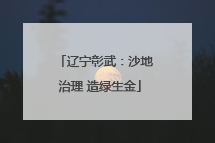 辽宁彰武：沙地治理 造绿生金
