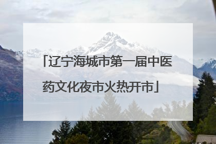 辽宁海城市第一届中医药文化夜市火热开市
