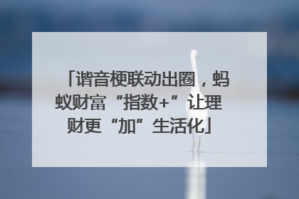 谐音梗联动出圈，蚂蚁财富“指数+”让理财更“加”生活化