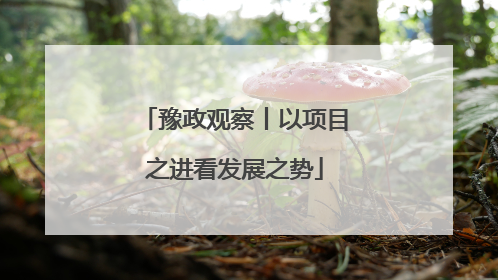 豫政观察丨以项目之进看发展之势