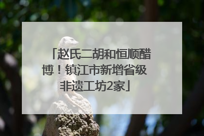 赵氏二胡和恒顺醋博！镇江市新增省级非遗工坊2家