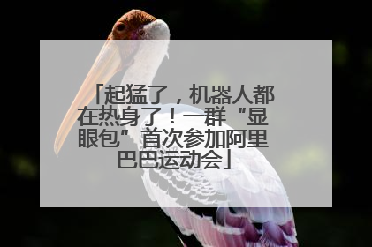 起猛了，机器人都在热身了！一群“显眼包”首次参加阿里巴巴运动会