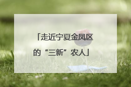走近宁夏金凤区的“三新”农人