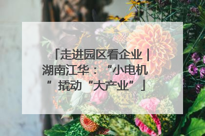 走进园区看企业｜湖南江华：“小电机”撬动“大产业”