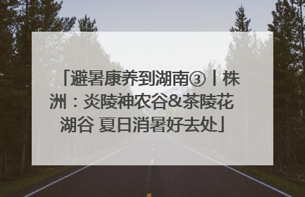 避暑康养到湖南③丨株洲：炎陵神农谷&茶陵花湖谷 夏日消暑好去处