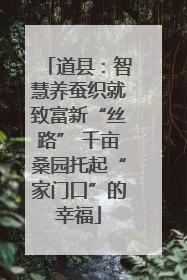 道县：智慧养蚕织就致富新“丝路” 千亩桑园托起“家门口”的幸福