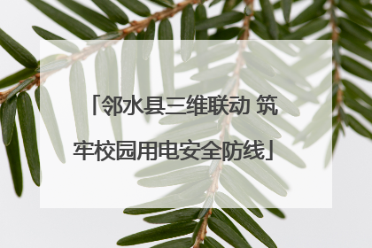 邻水县三维联动 筑牢校园用电安全防线