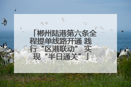 郴州陆港第六条全程提单线路开通 践行“区港联动” 实现“半日通关”
