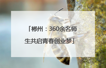 郴州：360余名师生共启青春创业梦