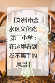 郑州市金水区文化路第三小学：在这里看到拳不离手的风景