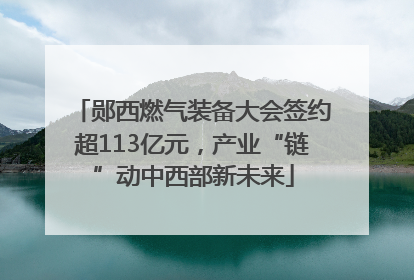 郧西燃气装备大会签约超113亿元，产业“链”动中西部新未来