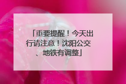 重要提醒！今天出行请注意！沈阳公交、地铁有调整