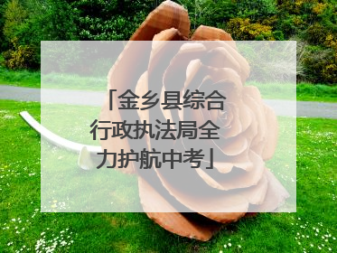 金乡县综合行政执法局全力护航中考