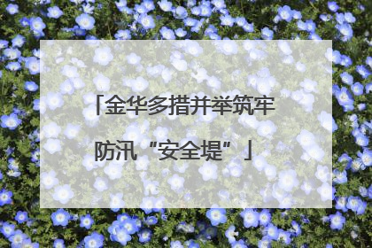 金华多措并举筑牢防汛“安全堤”