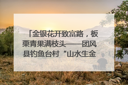 金银花开致富路，板栗青果满枝头——团风县钓鱼台村“山水生金”谱写共富新篇章