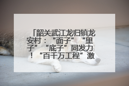 韶关武江龙归镇龙安村：“面子”“里子”“底子”同发力！“百千万工程”激活乡村新动能