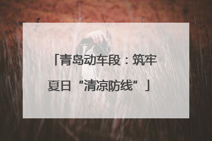 青岛动车段：筑牢夏日“清凉防线”