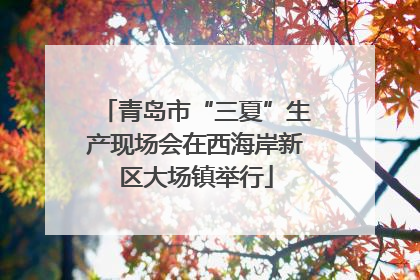 青岛市“三夏”生产现场会在西海岸新区大场镇举行