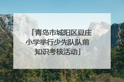 青岛市城阳区夏庄小学举行少先队队前知识考核活动