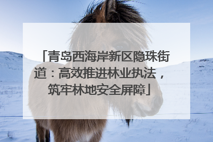 青岛西海岸新区隐珠街道：高效推进林业执法，筑牢林地安全屏障