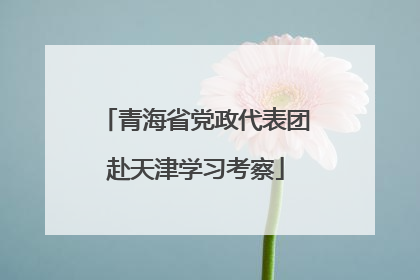 青海省党政代表团赴天津学习考察